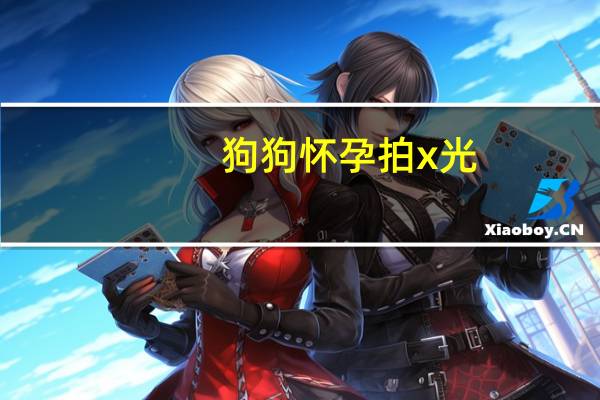 狗狗怀孕拍x光