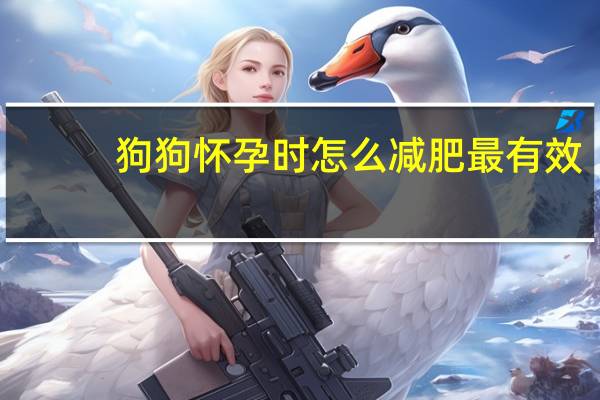 狗狗怀孕时怎么减肥最有效