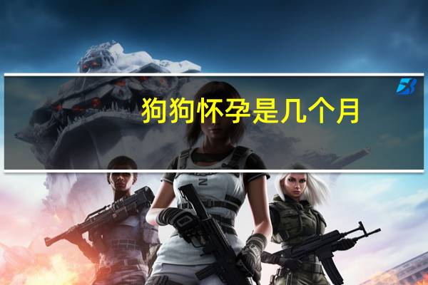 狗狗怀孕是几个月