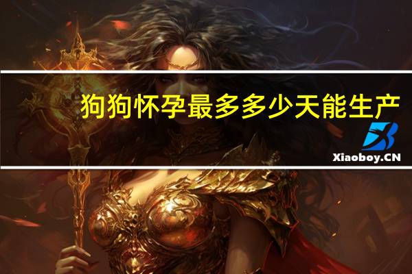 狗狗怀孕最多多少天能生产