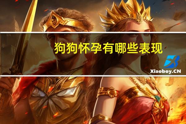 狗狗怀孕有哪些表现