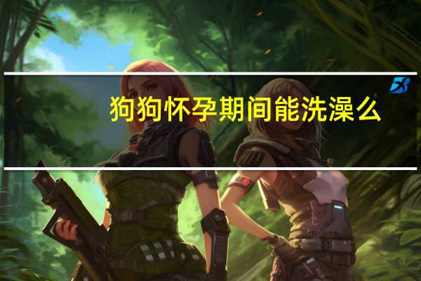 狗狗怀孕期间能洗澡么