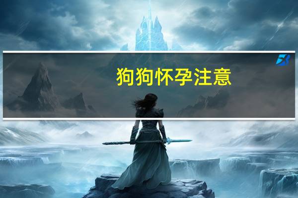 狗狗怀孕注意
