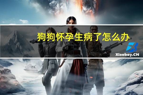 狗狗怀孕生病了怎么办