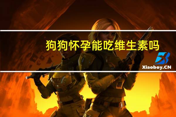 狗狗怀孕能吃维生素吗