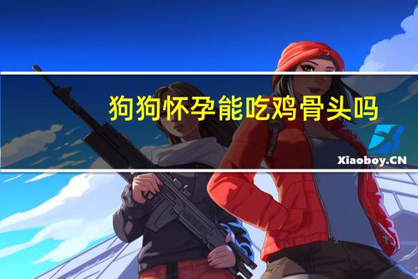 狗狗怀孕能吃鸡骨头吗