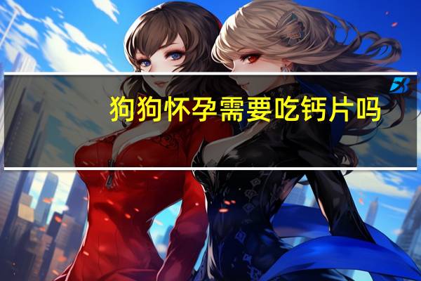 狗狗怀孕需要吃钙片吗