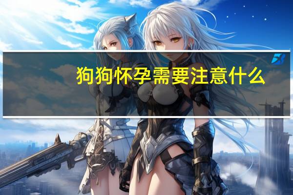 狗狗怀孕需要注意什么