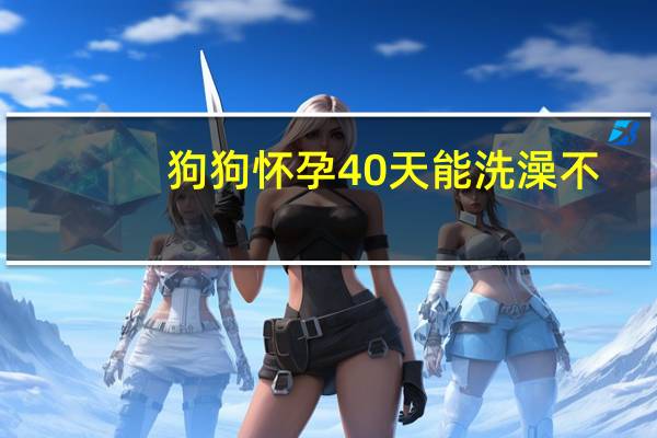 狗狗怀孕40天能洗澡不