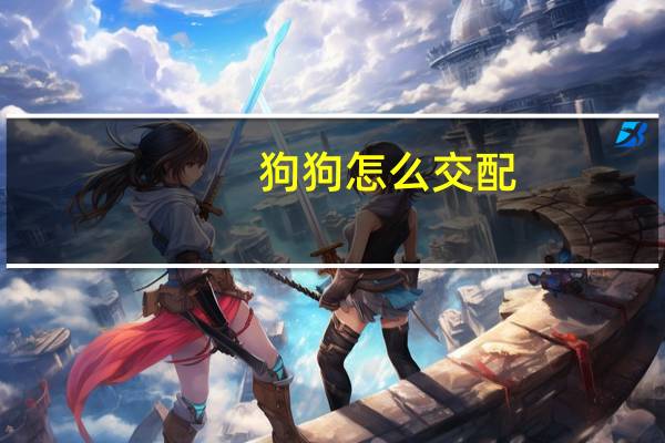 狗狗怎么交配