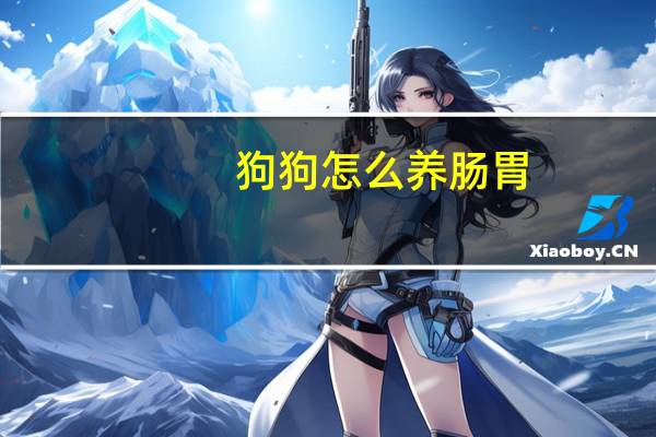 狗狗怎么养肠胃