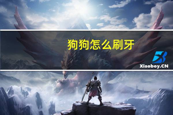 狗狗怎么刷牙