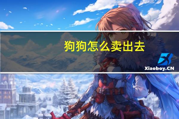 狗狗怎么卖出去