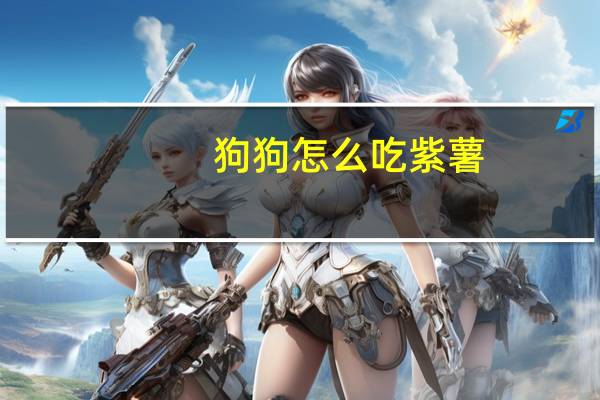 狗狗怎么吃紫薯