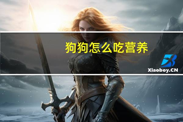 狗狗怎么吃营养