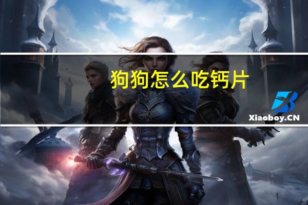 狗狗怎么吃钙片