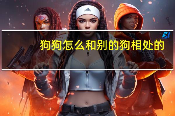 狗狗怎么和别的狗相处的