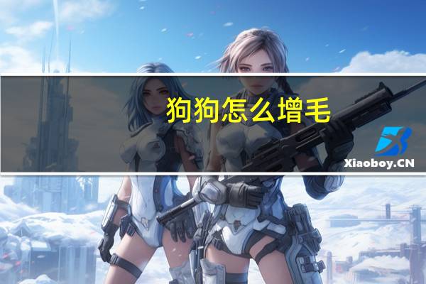 狗狗怎么增毛