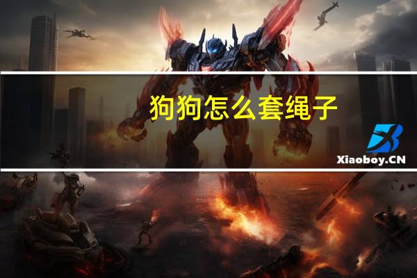 狗狗怎么套绳子