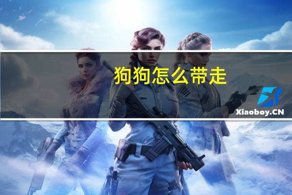 狗狗怎么带走