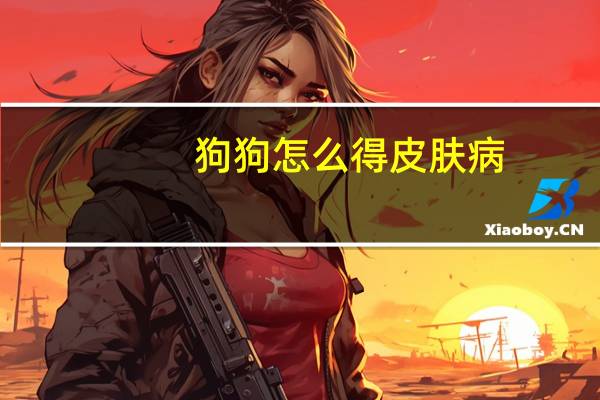 狗狗怎么得皮肤病