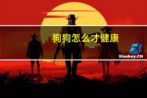 狗狗怎么才健康