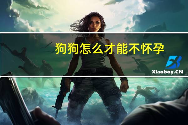 狗狗怎么才能不怀孕