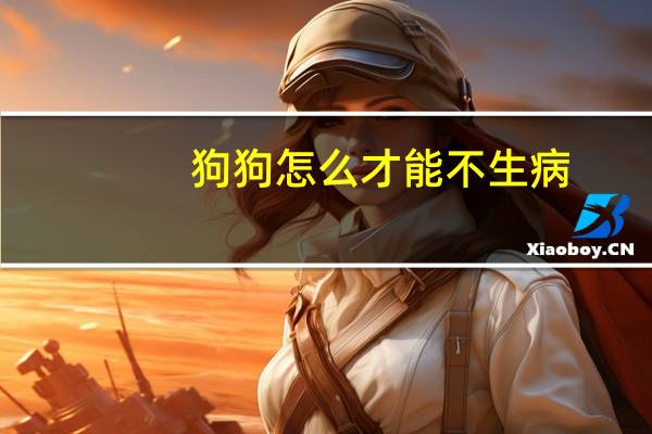 狗狗怎么才能不生病