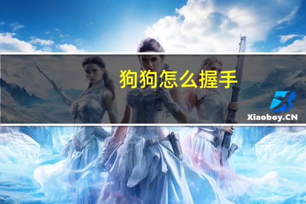 狗狗怎么握手