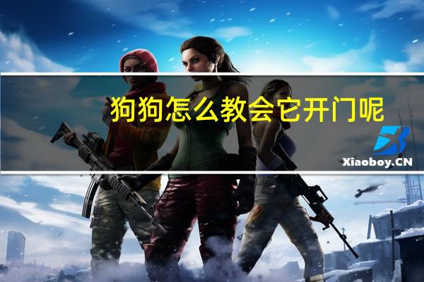 狗狗怎么教会它开门呢