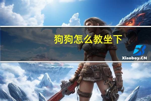 狗狗怎么教坐下