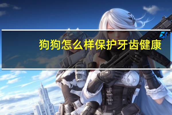 狗狗怎么样保护牙齿健康