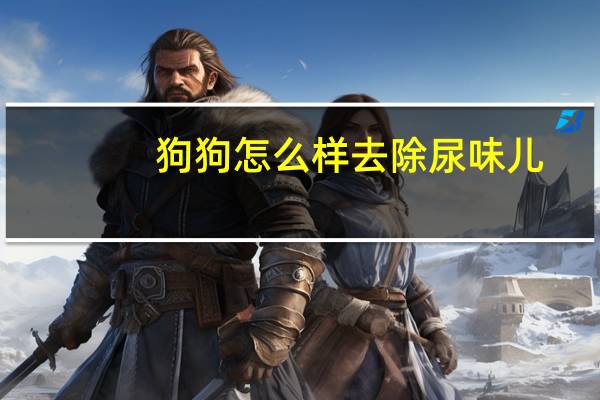 狗狗怎么样去除尿味儿