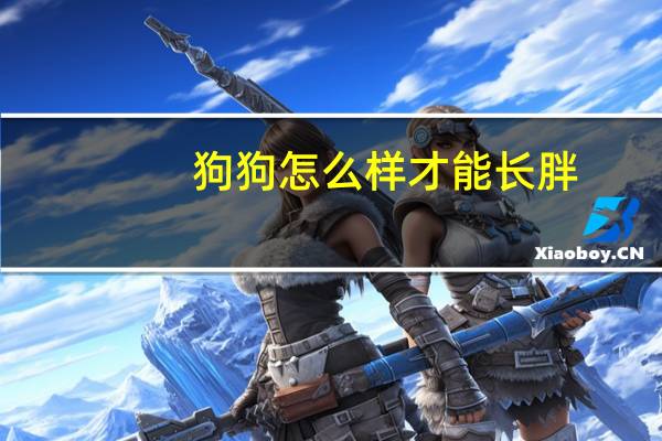 狗狗怎么样才能长胖