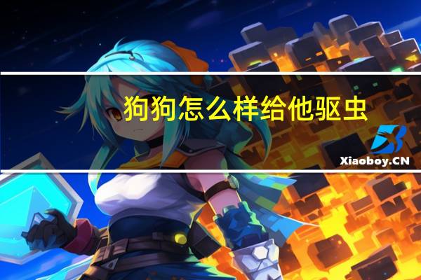 狗狗怎么样给他驱虫