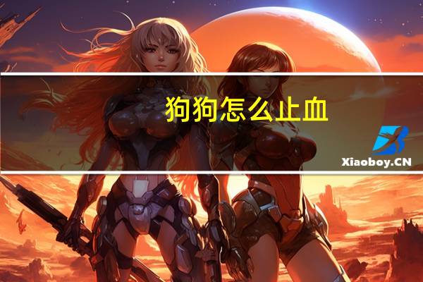 狗狗怎么止血