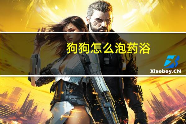 狗狗怎么泡药浴