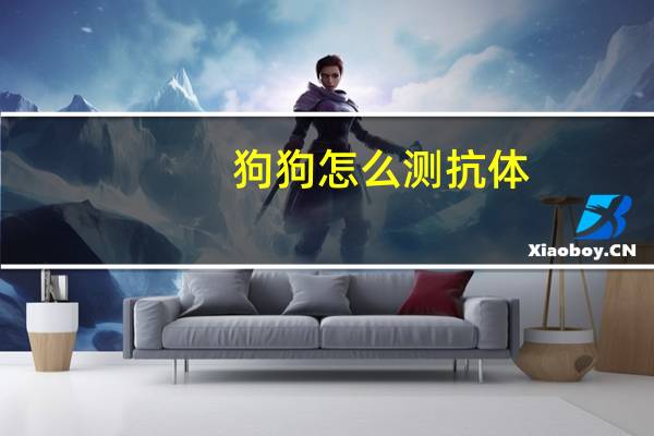 狗狗怎么测抗体
