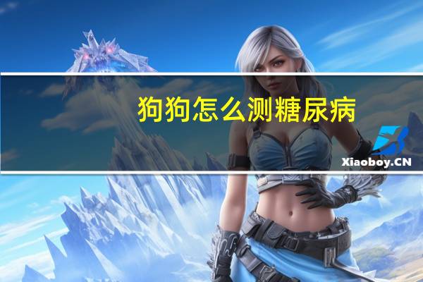 狗狗怎么测糖尿病