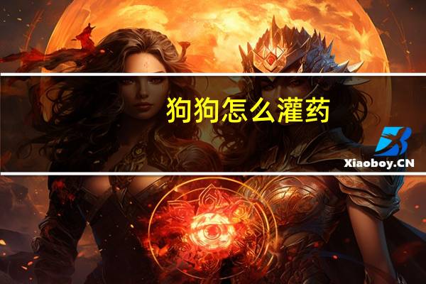 狗狗怎么灌药