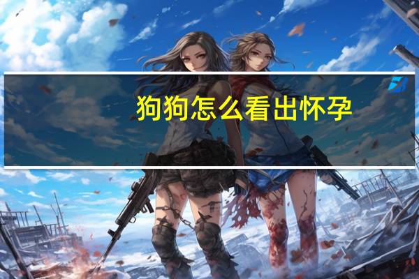 狗狗怎么看出怀孕