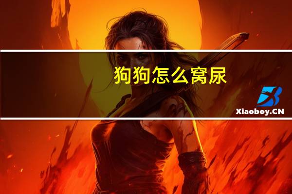 狗狗怎么窝尿