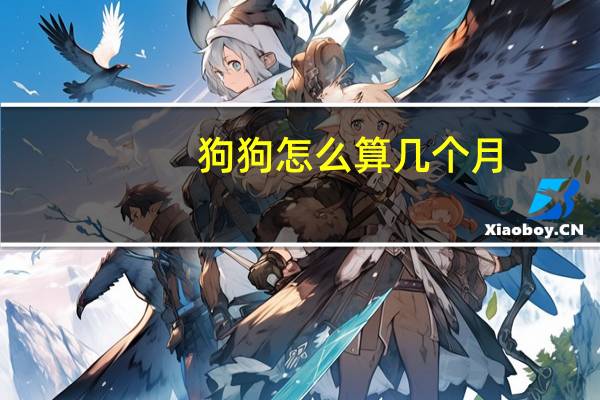 狗狗怎么算几个月