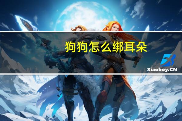 狗狗怎么绑耳朵