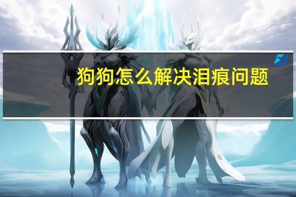 狗狗怎么解决泪痕问题