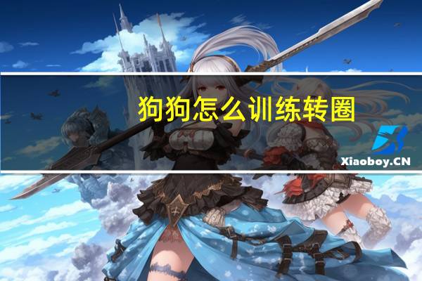 狗狗怎么训练转圈