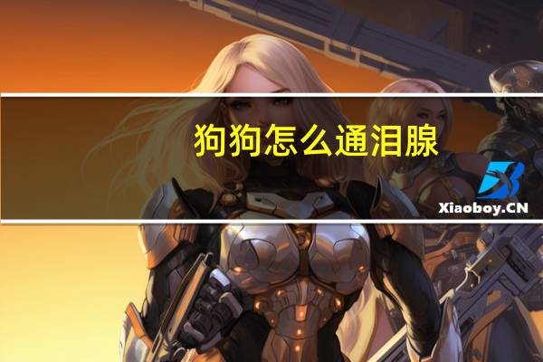 狗狗怎么通泪腺