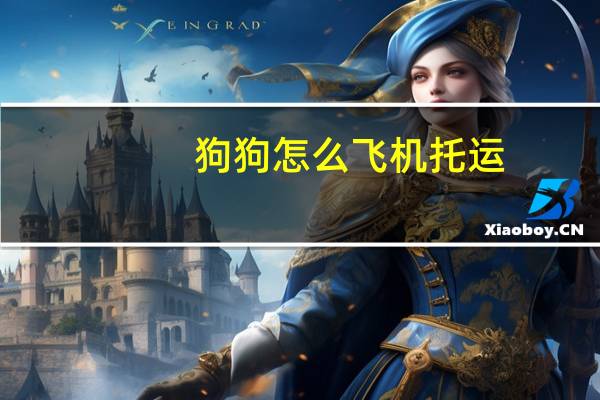 狗狗怎么飞机托运