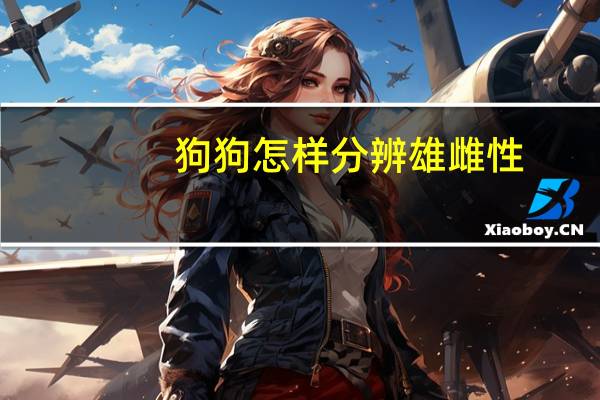 狗狗怎样分辨雄雌性