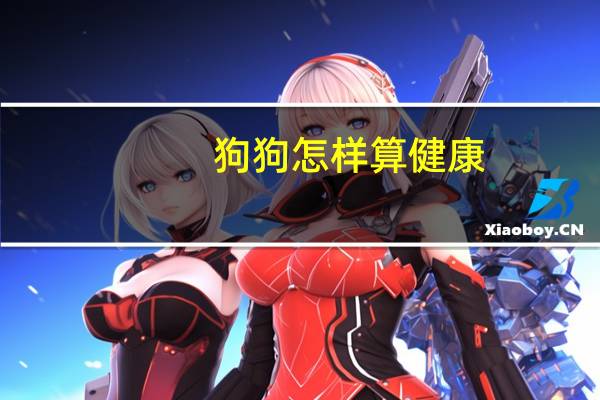 狗狗怎样算健康